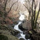 오늘의숲 이미지