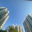 원일초등학교 | 수원 원천레이크파크 아파트 임장 후기, 실거주 분위기 총정리