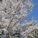 발리펜션 | 서울 근교 풀빌라 펜션 춘천 풀빌라 펜션 감성숙소 발리376 솔직후기