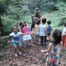 새나래유치원 이미지