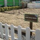 동탄원천로881번길 이미지