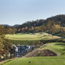 TOP 골프 아카데미 이미지