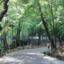 수지침(야간) 이미지