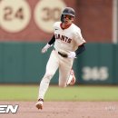38 이미지
