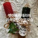 [수업후기] 반려견 펫아로마테라피 자격증 과정/ 한국핸드메이드강사협회 의정부 교육원 비다아로마