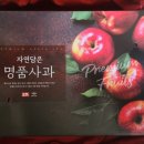 비타민삼춘 - 9518 | 비타민삼춘