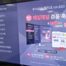 빛돌바람