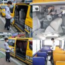 성균관태권스쿨 이미지