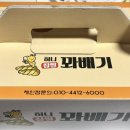 꽈배기와 동그리 이미지