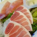 혼마참치 이미지