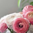 울산부부치과의원 이미지