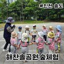 해찬솔공원작은도서관 | 송도 어린이집 숲체험 해찬솔공원