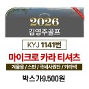1141 카라 이미지
