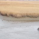 남도삼백리길(1코스) 이미지