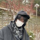 210120 | 액세서리 Accessories - 머플러 Muffler] 210120 210121 do0_nct 인스타그램 | 비스폰지 BEASPONGE 체크...