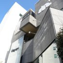 연산메디컬센터 앞 | 거제애견분양 걱정이 없었던 미유펫