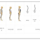 올바른자세운동