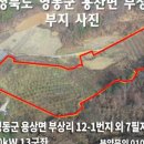 영동 태양광발전소 이미지