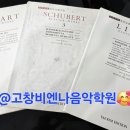 비엔나음악전문학원 이미지