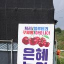 은혜농원 이미지