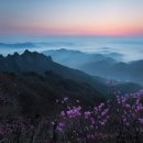 강산 이미지