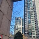 수영로 325번길 이미지