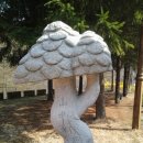 청송자연휴양림 이미지