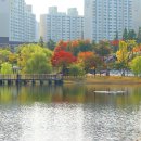 상동호수공원 농구장