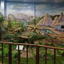 덕소자연사박물관 이미지