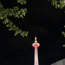 세븐일레븐 오류역점 | ATM 현금 인출 방법 총정리 :: 트래블고 트래블월렛 이온뱅크 위치 | 트래블로그 세븐일레븐 세븐뱅크 오류