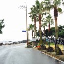 제주위미농협주유소 이미지