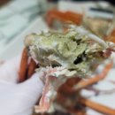 만년소녀 | 만년소녀 홍게 후기