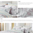 동대문 아르페지오에서 침구 했습니다. 이미지