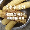 이용풍농장 | 세잎농장 생옥수수 옥수수 내돈내산 택배주문 솔직후기
