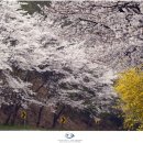 추월산로 네이버블로그