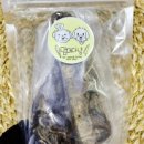 멈머다냥 이미지