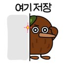 수연 멸치국수