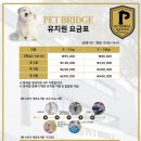 펫브릿지 이미지