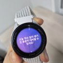 팀애플휘트니스10호 | 운동을 전혀 못하는 요즘, 가민 포러너 165로 생활 습관 개선하기(수면/스트레스 관리편)