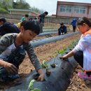석보초등학교 이미지
