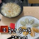 국수의신 울과대점