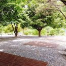[충청북도 제천시] 월악파인오토캠핑장