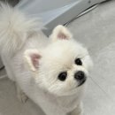 프롬지이