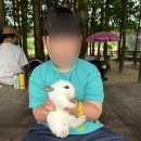 돼지보러오면돼지 | 이천 아이와 갈만한곳 피아뜰 돼지보러오면돼지 돼지박물관 방문 후기