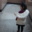 보글리아