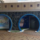 상록씨스템 네이버블로그