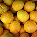 해아림한의원 이미지