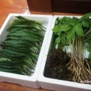 화석시대