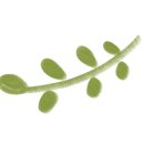 아파트먼트풀 스테이 이미지