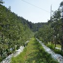 덕고개농장 이미지